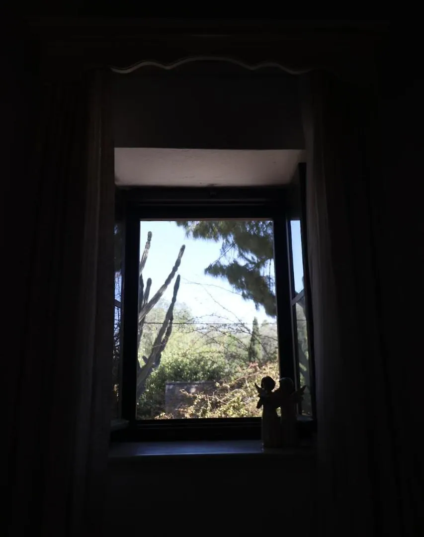 Ha La Bodrum