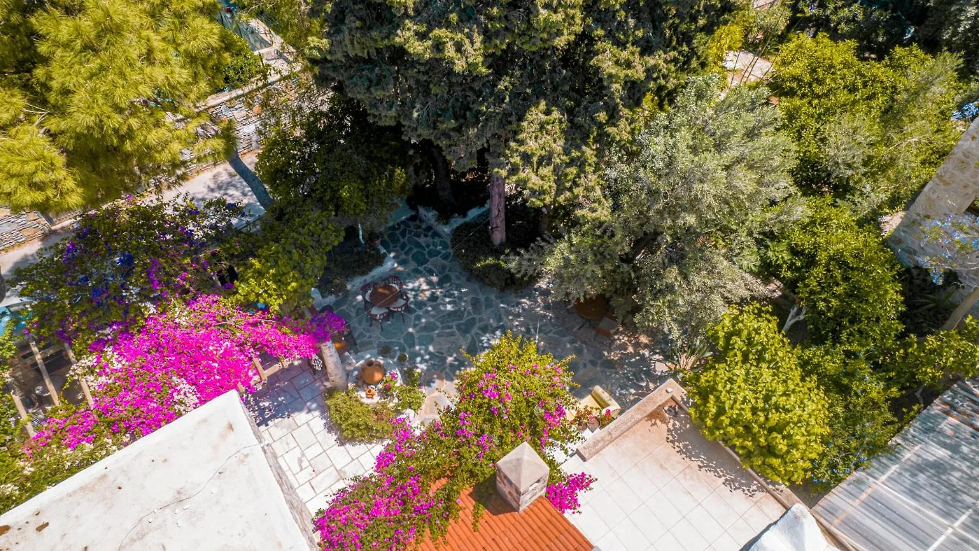 Bed & Breakfast Ha La Bodrum Tyrkiet